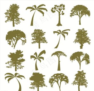 椰子树图片