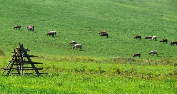牧场图片 牧场图片