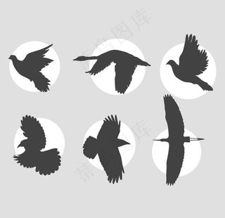 鸟剪影图片