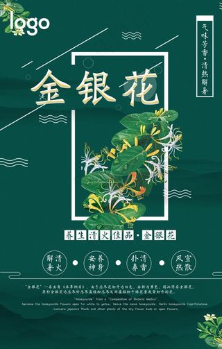 简洁药品金银花海报图片