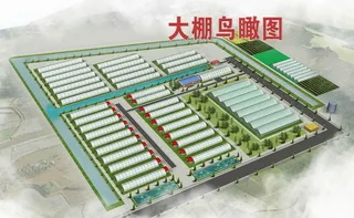 生态园温室大棚效果图图片