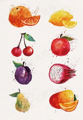 矢量水果图图片