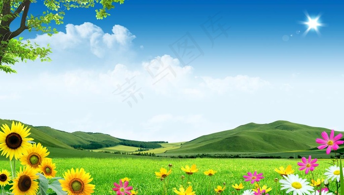 蓝天白云草地图片