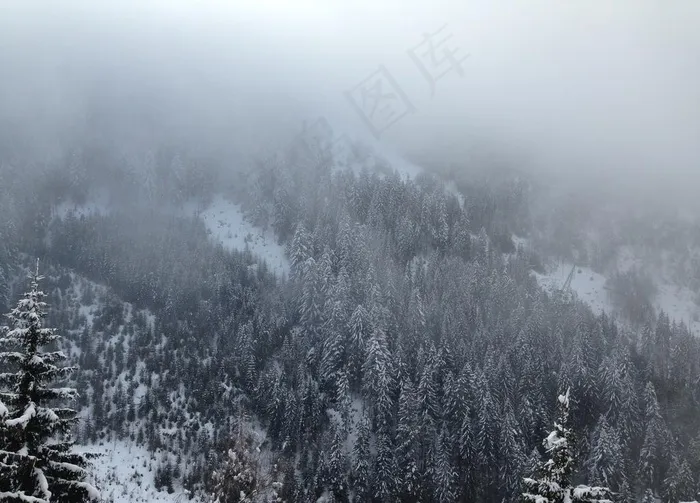 雪地图片