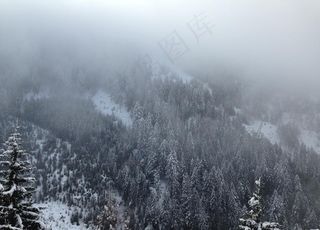 雪地图片