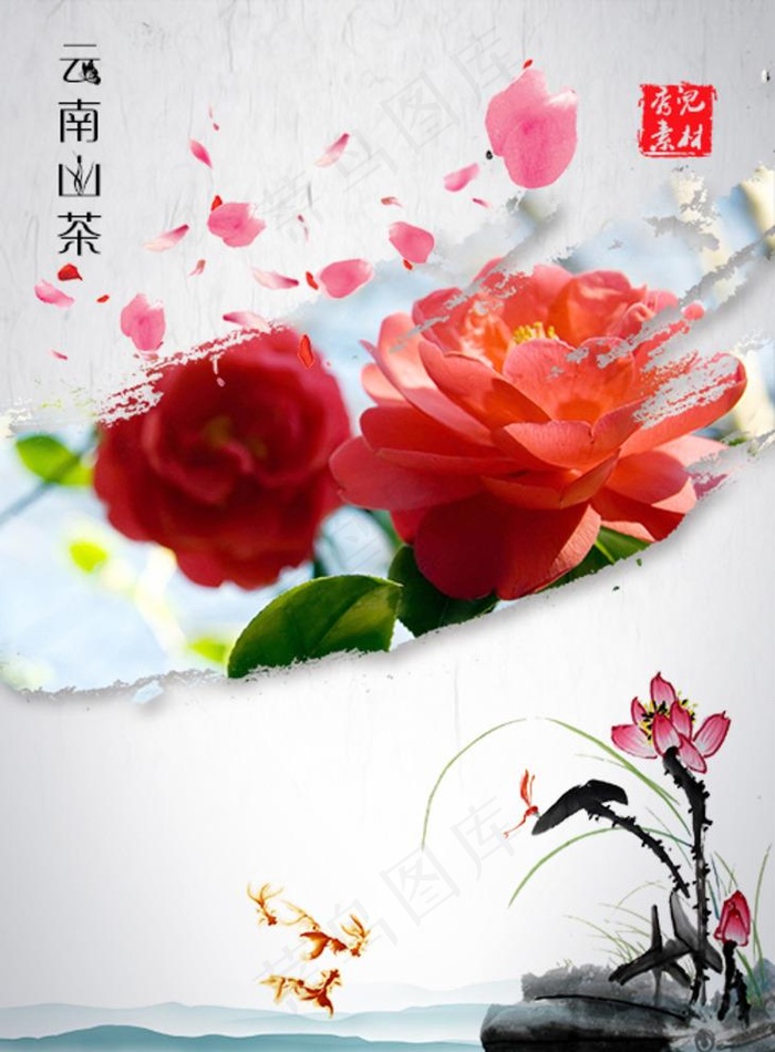 云南山茶花图片