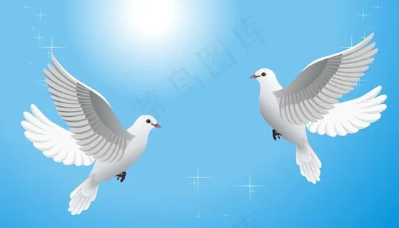 和平鸽子图片 和平鸽子图片
