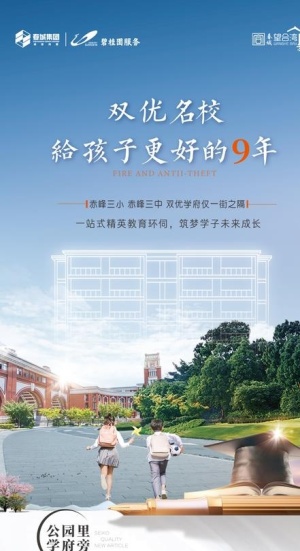 地产双学区价值广告图片
