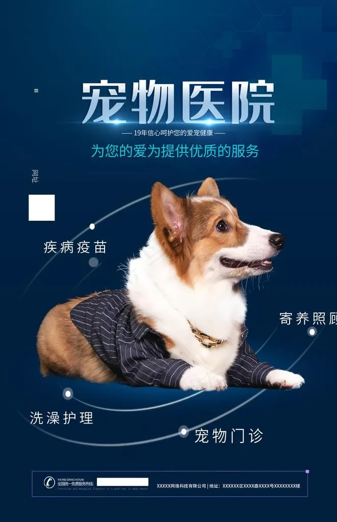 宠物图片(2362X3488(DPI:100))psd模版下载