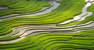 梯田图片