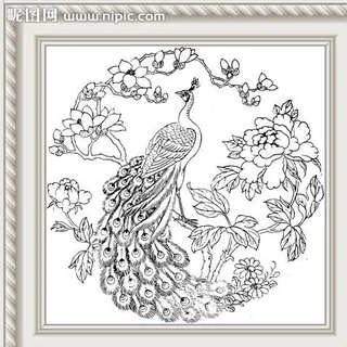 孔雀牡丹玉兰图片