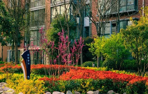小区一角图片 小区一角图片
