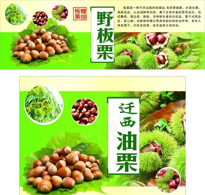 板栗图片cdr矢量模版下载