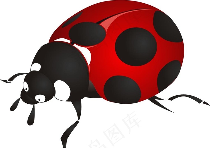 甲壳虫图片cdr矢量模版下载