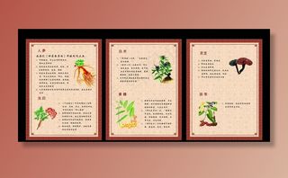 美容药材展板图片