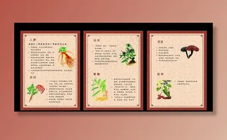 美容药材展板图片
