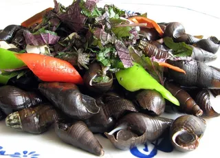 紫苏炒山坑螺图片