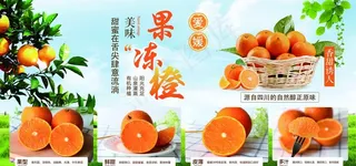 爱媛果冻橙图片