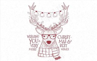 圣诞节动物图片