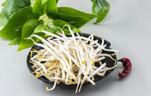 豆芽图片 豆芽图片