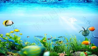 鱼缸素材图片