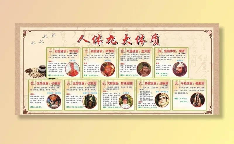 养生文化 中医养生 九大体质图片cdr矢量模版下载