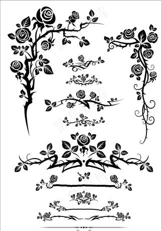 玫瑰花边框素材图片