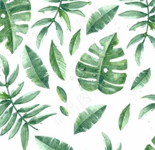 水彩树叶背景图片