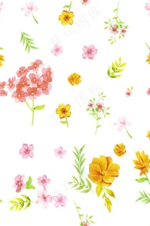 花图片 花图片