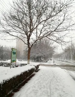 下雪天图片 下雪天图片