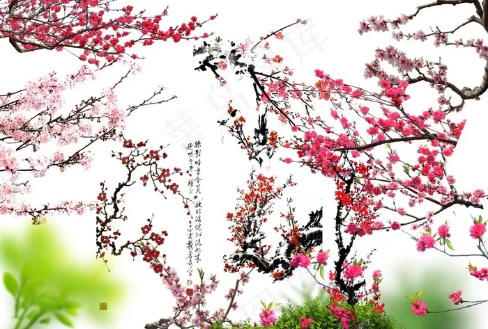 梅花素材图片(4200X2970(DPI:254))psd模版下载
