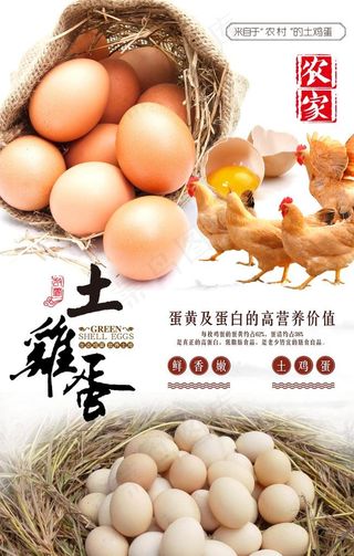 农家土鸡蛋海报图片