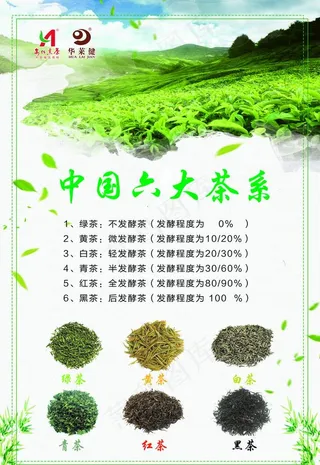 中国六大茶系图片