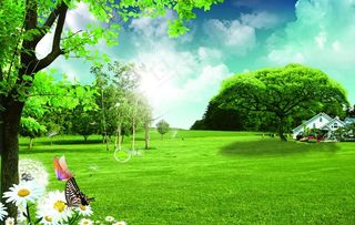 绿地蝴蝶树图片