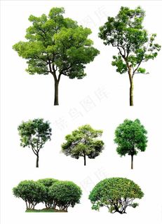 手绘树高清树元素树木卡通树大树图片