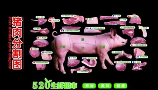 猪肉分割图图片
