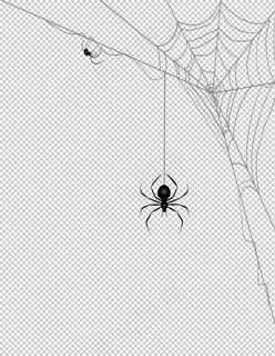 黑色线条蜘蛛网图片