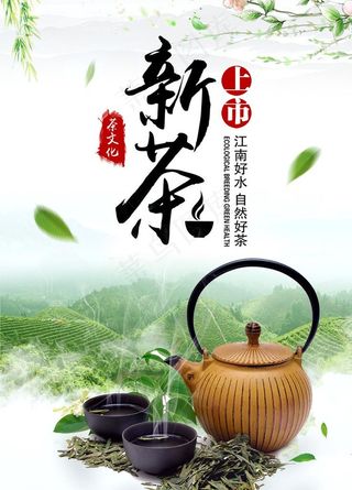 新茶图片