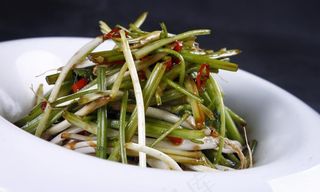 经典菜根香图片