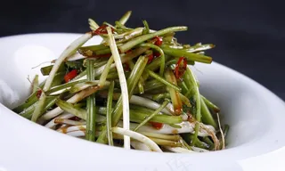 经典菜根香图片