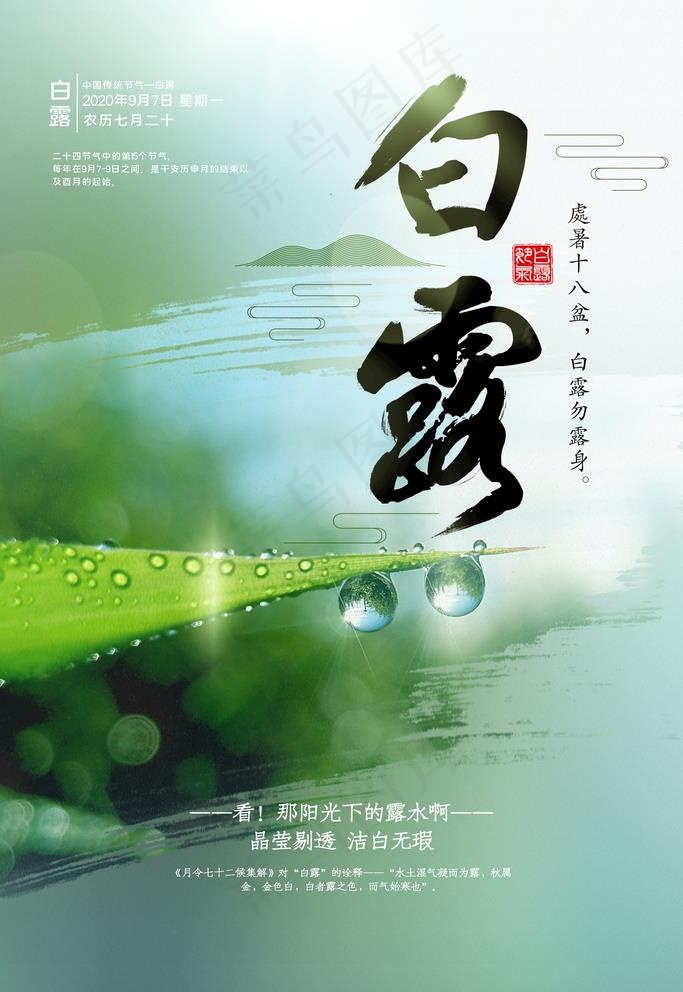 白露图片(3543X5315(DPI:300))psd模版下载