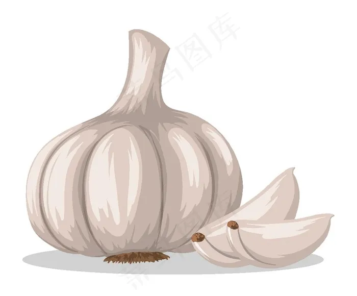 手绘蒜图片ai矢量模版下载
