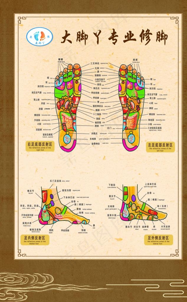 脚底穴位经络图片