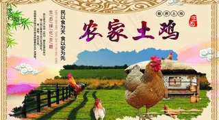 农家土鸡图片
