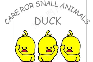 小黄鸭图片