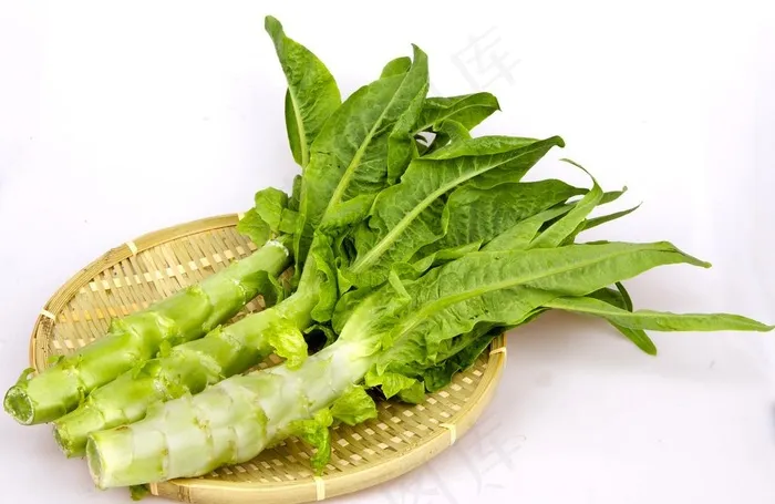 莴笋图片