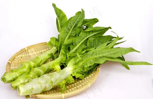 莴笋图片 莴笋图片