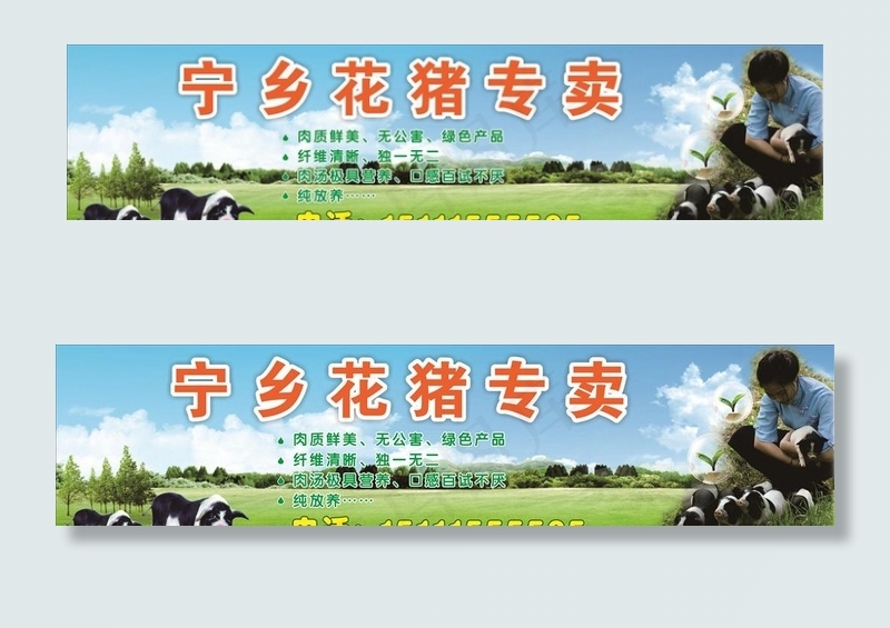 农家土猪广告图片
