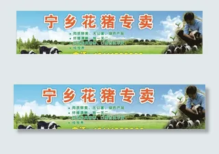 农家土猪广告图片