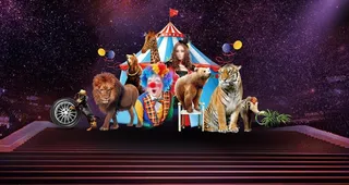 马戏团活动背景图片